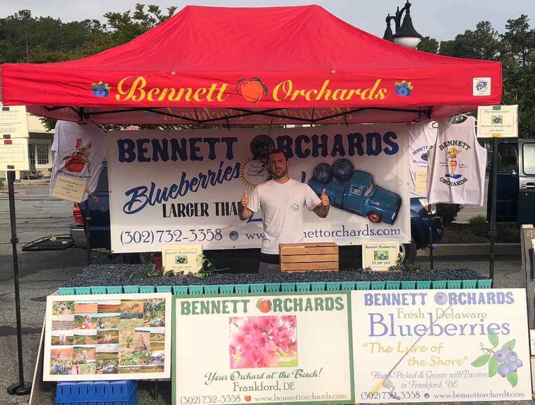 Farmers Market tent of Bennett Orchards. We are proud to sell only what we grow. 